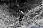 cevennes, divers, les gens,